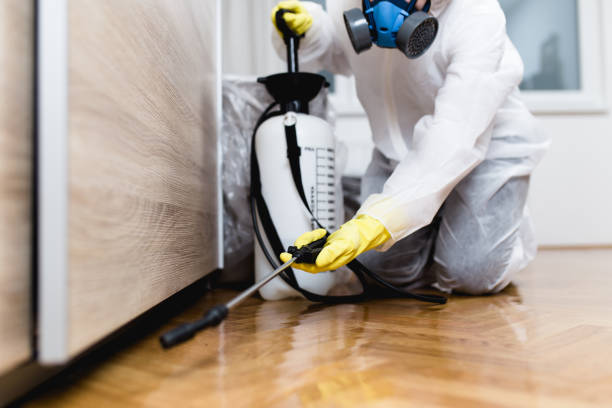Best Flea Control Services  in Van, TX