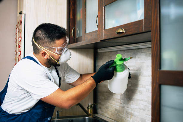 Best Pest Removal Services  in Van, TX