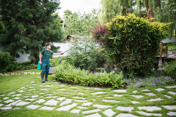 Pest Prevention Services in Van, TX