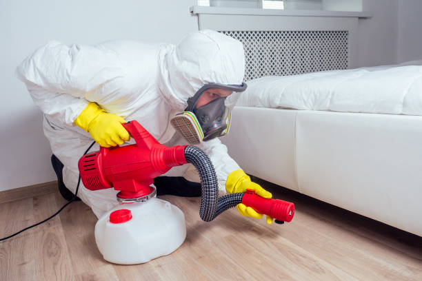Trusted Van, TX Pest Control Experts