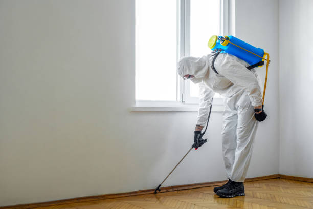 Best Affordable Exterminators  in Van, TX