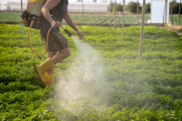 Best Commercial Pest Control Services  in Van, TX