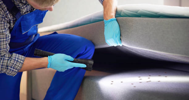 Best Rat Extermination Near Me  in Van, TX