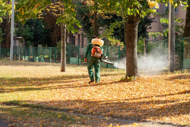 Best Wildlife Control Services  in Van, TX