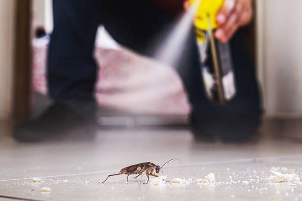 Best Exterminator Services  in Van, TX